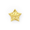 21вов
